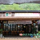 벚꽃마을 이미지