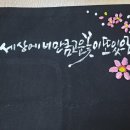 보문약초