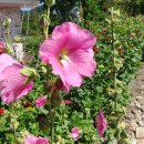 구병마을 이미지