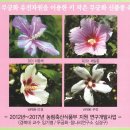 과천 한국마사회 경마공원 무궁화 사진 전시회 팜플렛-3 이미지