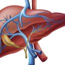 바디채널 이미지