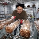 원천농장 이미지