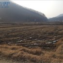 백곡면사무소 이미지