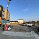 프리티퀸 이미지