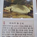 울산고래고기