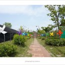 성당포구마을 | 익산 성당포구마을/용안생태공원 2024.04.29
