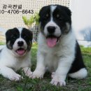 미들농장 이미지