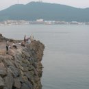 서해바다낚시