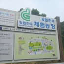 가주목장 | 춘천 놀거리 해피초원 목장 후기