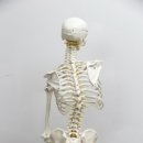 한국재활메디슨 이미지