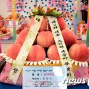 조치원_고려대학교 정문 이미지