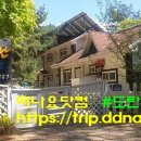 펜션닷컴
