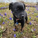 만지1길 이미지