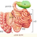 위장병 증상(症狀)과 식중독 예방법(豫防法) 이미지