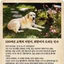 상우재