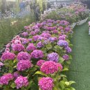 별빛정원B 이미지