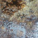 해준농장 이미지