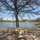 경기도 수원시 장안구 파장로21번길 이미지