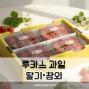 과일사냥꾼 | 과일맛집 루카스과일 프리미엄 당도보장 고당도 과일만 판매하는 루카스과일을 소개합니다.
