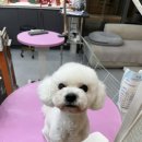 쓰다드멍 이미지