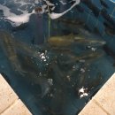 태흥목욕탕 이미지