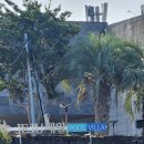 제주29애월풀빌라B 이미지