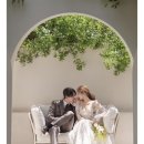 보니타스튜디오 이미지