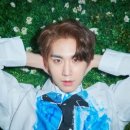 신원대로-2 이미지