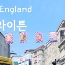 피시나인 이미지