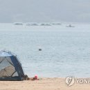 다이쏘 공인중개사사무소 이미지