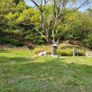 도봉-도봉-2025 이미지