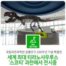 세계 최대 크기 티라노사우루스 &#34;스코티&#34;가 국립과천과학관에서 전시중이에요!