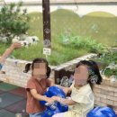 민족사관어린이집 이미지