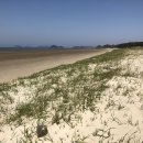 해안사구 이미지