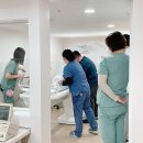 이상동물병원 이미지