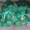 효산농장 이미지