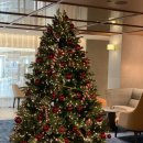 둔산엔젤요양병원 이미지