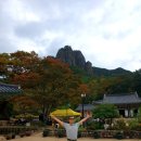 청송 주왕산 단풍, 청송사과, 주왕산 맛집, 청송 얼음골 여행후기