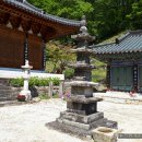 진주 의곡사 괘불도 Daum카페