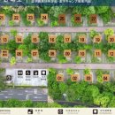 도학야영장 이미지