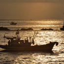 금빛바다 이미지