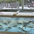 조방낚지찜 이미지