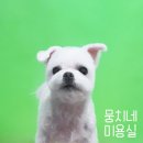 뭉치네 미용실 이미지