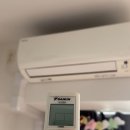 유진레코드 | [ 일본워홀 | D+237 ] 치킨와플? 와플치킨? / 2025 도쿄세계육상선수권대회🥇