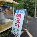 신대농장 | 광양 세풍 복숭아 영웅이복숭아농장 길가에서 산 딱복 후기