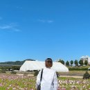 수양버들밥집 | 서울근교1박2일 뚜벅이 공주여행 : 금산성, 나태주풀꽃문학관, 공산성, 미르섬