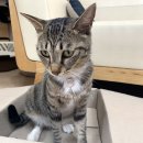 복자여중고 이미지