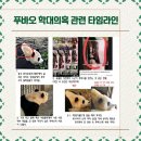 [일상] 우리의 행복을 보내드리니, 부디 사랑을 주세요