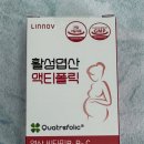 임산부 엽산추천 리노브 액티폴릭으로 확실한 임신준비