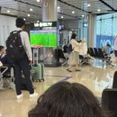(주)민우 | 엠라 제주 여행🏝️